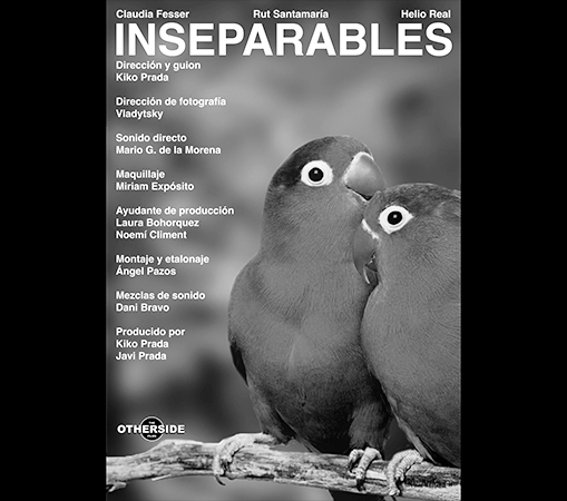 Inseparables - Rut Santamaria